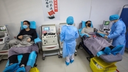 vaccine covid 19 thu nghiem dau tien tren dong vat da sinh khang the