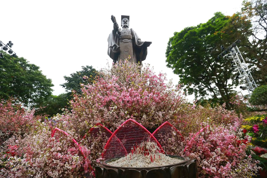 20000 canh hoa anh dao khoe sac tinh khoi giua tiet troi xuan ha noi