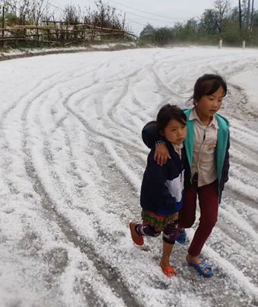 Ảnh: Mưa đá phủ trắng xóa, Lai Châu thiệt hại nặng nề anh mua da phu trang xoa lai chau thiet hai nang ne