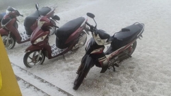 mua da to bang bat com trut xuong khap cac tinh mien nui bac bo