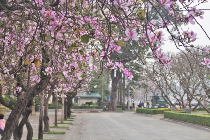 Tin thời tiết hôm nay 20/3: Mưa phùn, rét ngọt bao trùm Bắc Bộ tin thoi tiet hom nay 203 mua phun ret ngot bao trum bac bo