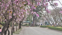 tin thoi tiet hom nay 223 mien bac mua da va dong loc