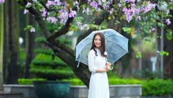 tin thoi tiet hom nay 283 khong khi lanh ve mien bac chuyen mua rao va dong