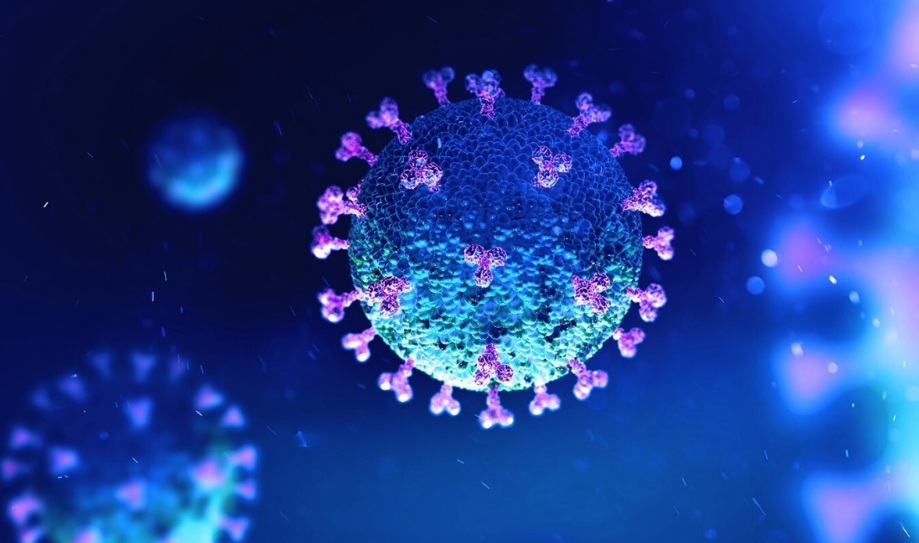 COVID-19: Virus corona có tốc độ lây nhiễm gấp đôi so với công bố ban đầu covid 19 virus corona co toc do lay nhiem gap doi so voi cong bo ban dau