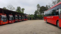 ha noi hon 1000 tieu thuong cho dau moi am tinh covid 19