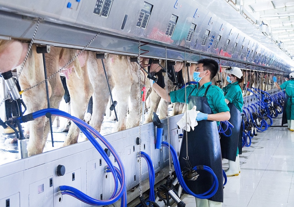 Một vòng khám phá trang trại “thông minh” của Vinamilk mot vong kham pha trang trai thong minh cua vinamilk