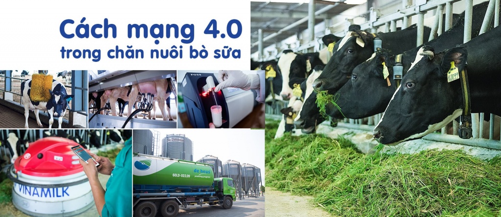 Một vòng khám phá trang trại “thông minh” của Vinamilk mot vong kham pha trang trai thong minh cua vinamilk