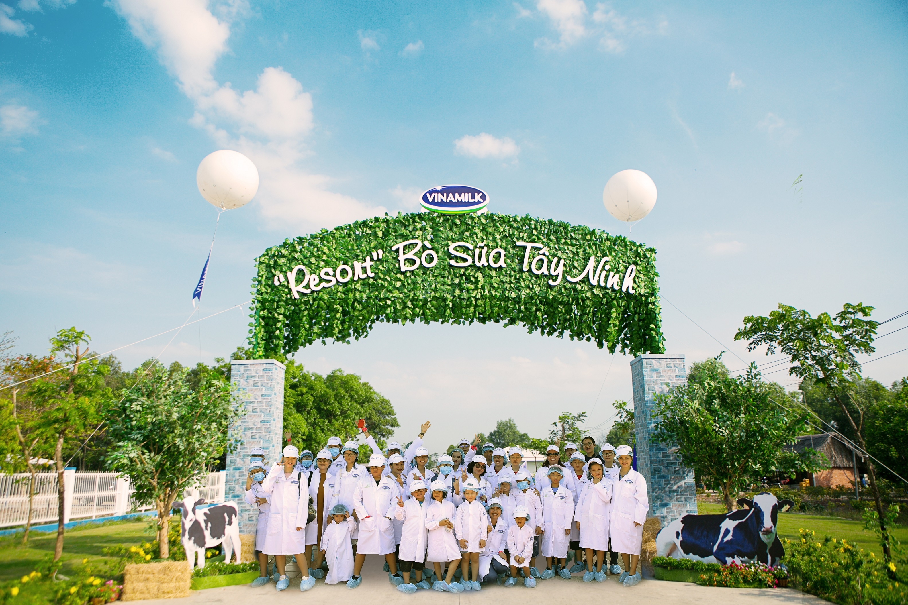 Vinamilk tổ chức cho con em nhân viên thăm resort bò sữa vinamilk to chuc cho con em nhan vien tham resort bo sua