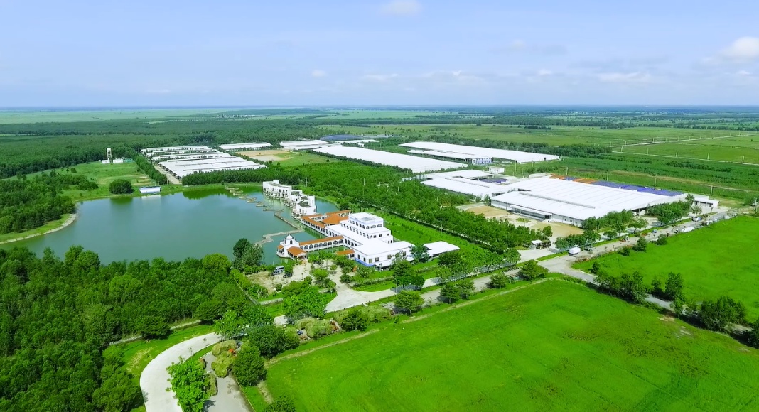 Vinamilk tổ chức cho con em nhân viên thăm resort bò sữa vinamilk to chuc cho con em nhan vien tham resort bo sua