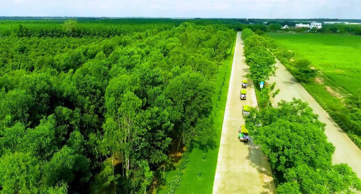 Vinamilk tổ chức cho con em nhân viên thăm resort bò sữa vinamilk to chuc cho con em nhan vien tham resort bo sua