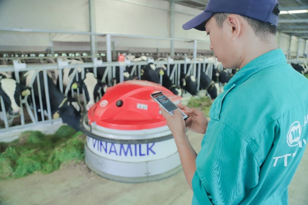Vinamilk tổ chức cho con em nhân viên thăm resort bò sữa vinamilk to chuc cho con em nhan vien tham resort bo sua