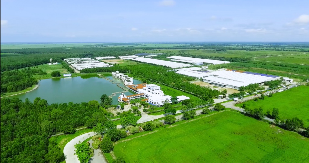 Vùng nguyên liệu sữa giúp Vinamilk dẫn đầu thị trường sữa tươi vung nguyen lieu sua giup vinamilk dan dau thi truong sua tuoi