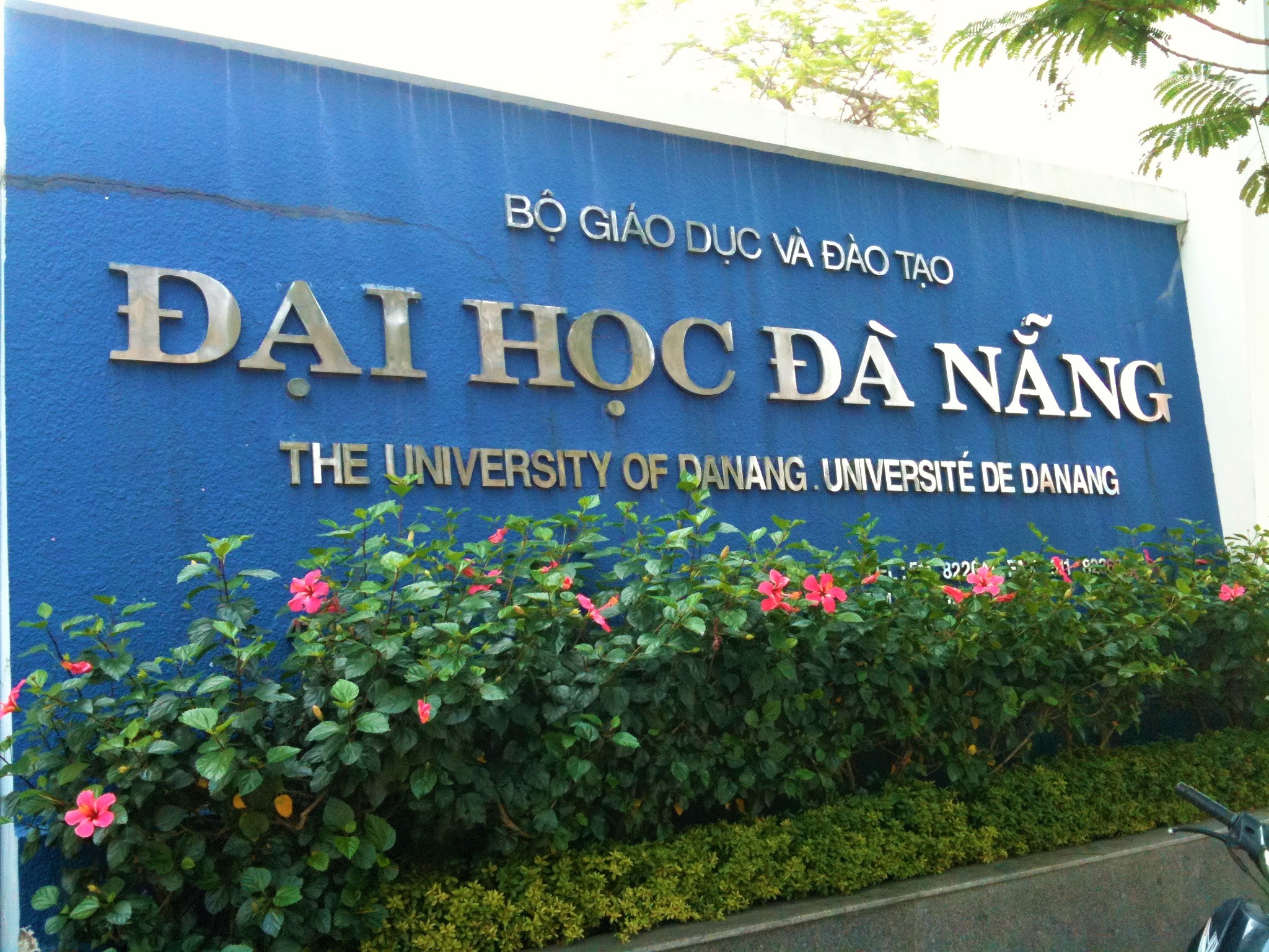 diem san nam 2019 cac truong thanh vien cua dai hoc da nang nam 2019