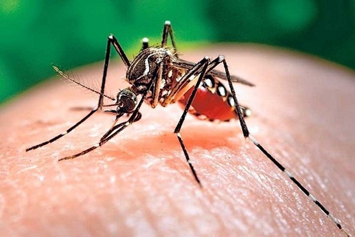 6 ngộ nhận "chết người" về bệnh sốt xuất huyết 6 ngo nhan chet nguoi ve benh sot xuat huyet