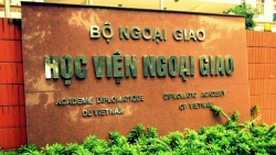 diem san nam 2019 khoi nganh su pham la bao nhieu