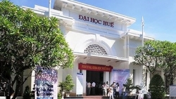 diem san nam 2019 khoi nganh su pham la bao nhieu