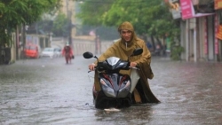 ha noi mua rat lon cay do hang loat sau bao so 3