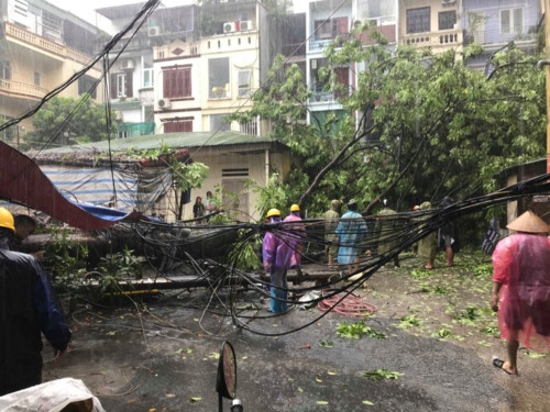 Hà Nội mưa rất lớn, cây đổ hàng loạt sau bão số 3 ha noi mua rat lon cay do hang loat sau bao so 3