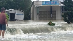 mua lut lich su o phu quoc huy dong khach san don khach mien phi