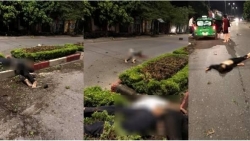 am anh tai nan giao thong dip nghi le 29 hai ngay 50 vu 41 nguoi chet