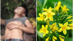 bi ban treu choc 2 nu sinh lop 7 ru nhau an la ngon 1 em tu vong