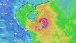 kien giang tam ngung hoat dong cac tau cho khach ra dao vi thoi tiet xau