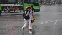 bao so 5 co the xuat hien sau nghi le 29