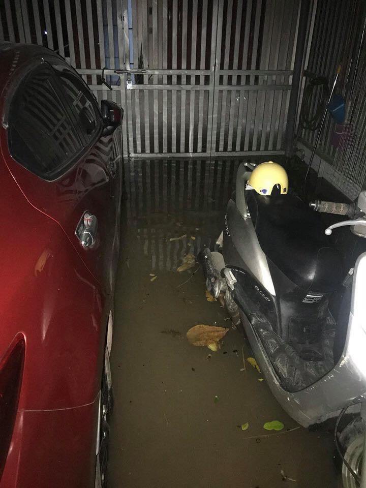 mua to tu dem den sang thai nguyen chim trong bien nuoc