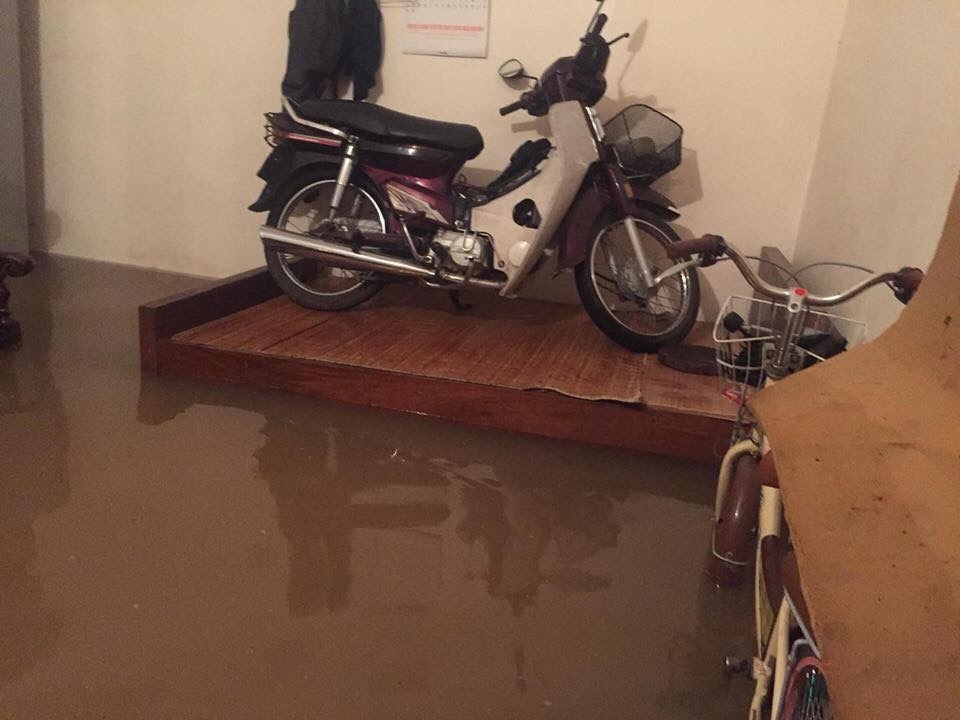 mua to tu dem den sang thai nguyen chim trong bien nuoc