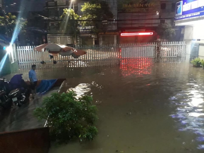 mua to tu dem den sang thai nguyen chim trong bien nuoc