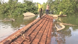 Bị nước lũ nhấn chìm, VQG Vũ Quang khẩn cấp 