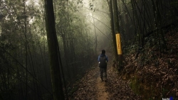 dai duc thich thanh toan la su tru tri chua nga hoang tu nam 2008