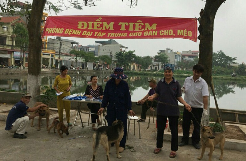 54 nguoi chet vi benh dai trong 9 thang dau nam