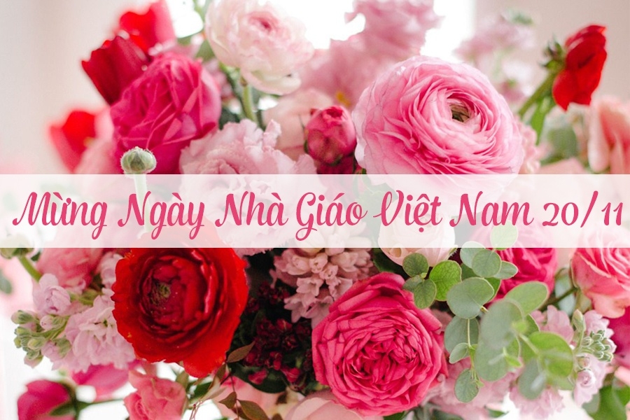 20 lời chúc 20/11 ý nghĩa nhất tặng thầy cô ngày Nhà giáo Việt Nam 20 loi chuc 2011 y nghia nhat tang thay co ngay nha giao viet nam