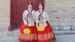 thi truong busan han quoc tiet lo rat yeu thich pho viet