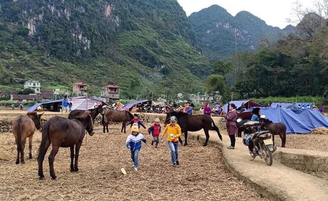 Cao Bằng: Động đất liên tục, người dân ra đồng dựng lán trại “dã chiến” cao bang dong dat lien tuc nguoi dan ra dong dung lan trai da chien