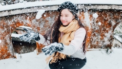 bac bo giam nhiet rat sau sap co dot bang gia dau tien