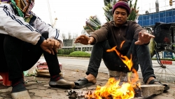 bac bo giam nhiet rat sau sap co dot bang gia dau tien