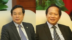 ky tham dinh avg de lay tien hoa hong mua sua cho con