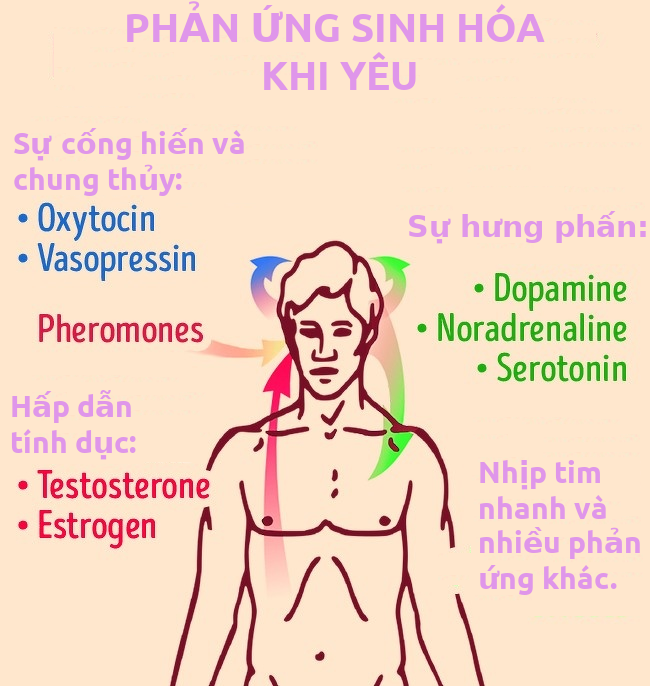 Tình yêu tạo ra hóc môn gây nghiện, làm sao để cảm giác đó kéo dài mãi mãi? tinh yeu tao ra hoc mon gay nghien lam sao de cam giac do keo dai mai mai