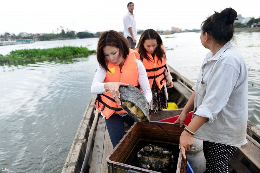 Expats in Ho Chi Minh City Rescue Trafficked Turtles Expats in Ho Chi Minh City Rescue Trafficked Turtles