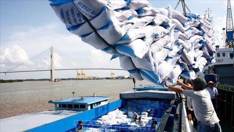 Experts: Vietnam’s economy continues to be hit by Covid-19 Experts: Vietnam’s economy continues to be hit by Covid-19