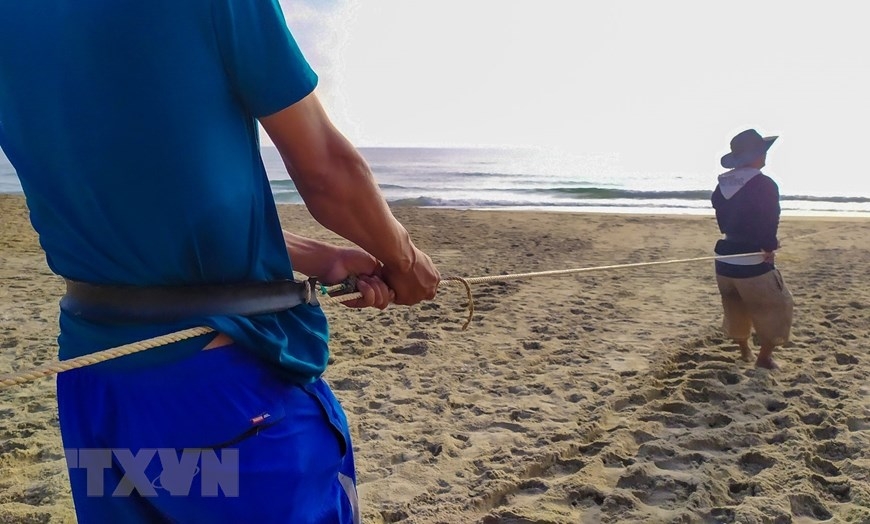 In Photos: Fishermen in Da Nang pull fishing nets by walking backward In Photos: Fishermen in Da Nang pull fishing nets by walking backward