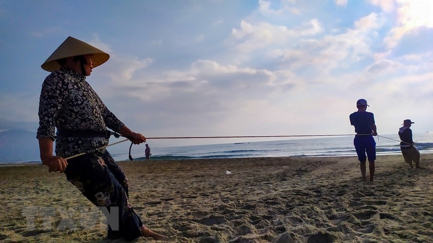 In Photos: Fishermen in Da Nang pull fishing nets by walking backward In Photos: Fishermen in Da Nang pull fishing nets by walking backward