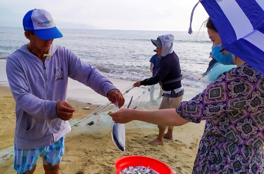 In Photos: Fishermen in Da Nang pull fishing nets by walking backward In Photos: Fishermen in Da Nang pull fishing nets by walking backward