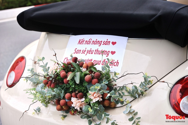 Wedding car decorated with Bac Giang lychees goes viral Wedding car decorated with Bac Giang lychees goes viral