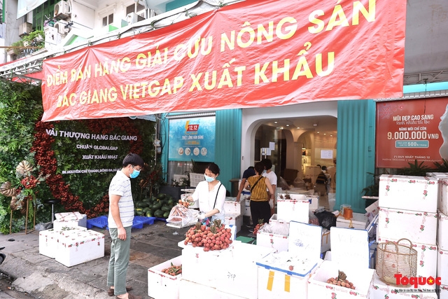 Wedding car decorated with Bac Giang lychees goes viral Wedding car decorated with Bac Giang lychees goes viral