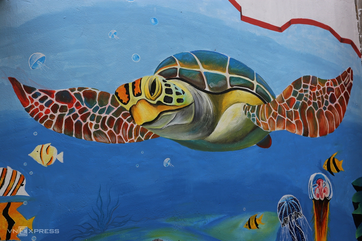 Sea turtle - a rare animal painted on the wall tp spread the message of protection. Recently, people in Tam Thanh released a net to catch some sea turtles and then returned them into the sea. Sea turtle - a rare animal painted on the wall tp spread the message of protection. Recently, people in Tam Thanh released a net to catch some sea turtles and then returned them into the sea.