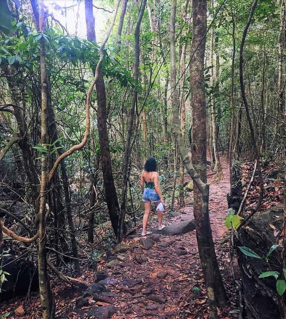 A trekking trail at Phu Quoc National Park.Photo Vietnam Discovery A trekking trail at Phu Quoc National Park.Photo Vietnam Discovery