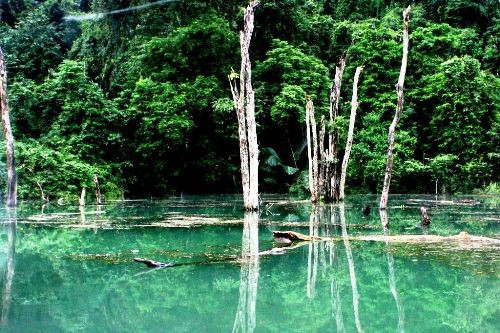Cuc Phuong National Park in Ninh Binh province is one of ten most stunning national parks in Vietnam. Photo VOV Cuc Phuong National Park in Ninh Binh province is one of ten most stunning national parks in Vietnam. Photo VOV